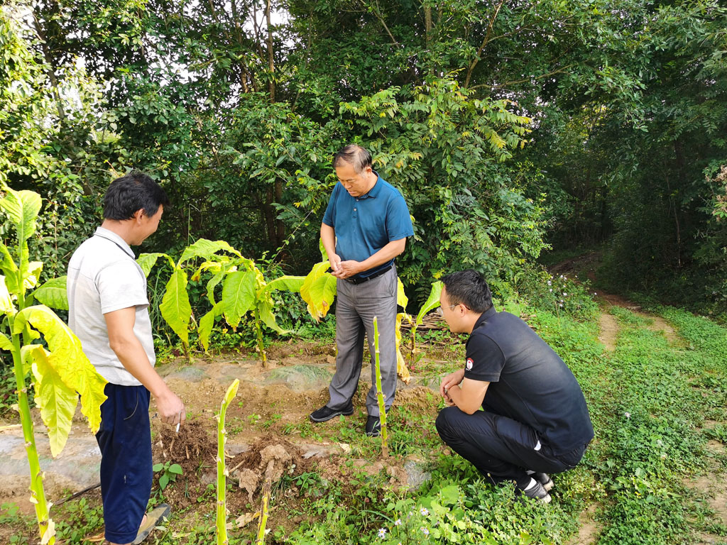 狼人无码精华av午夜精品