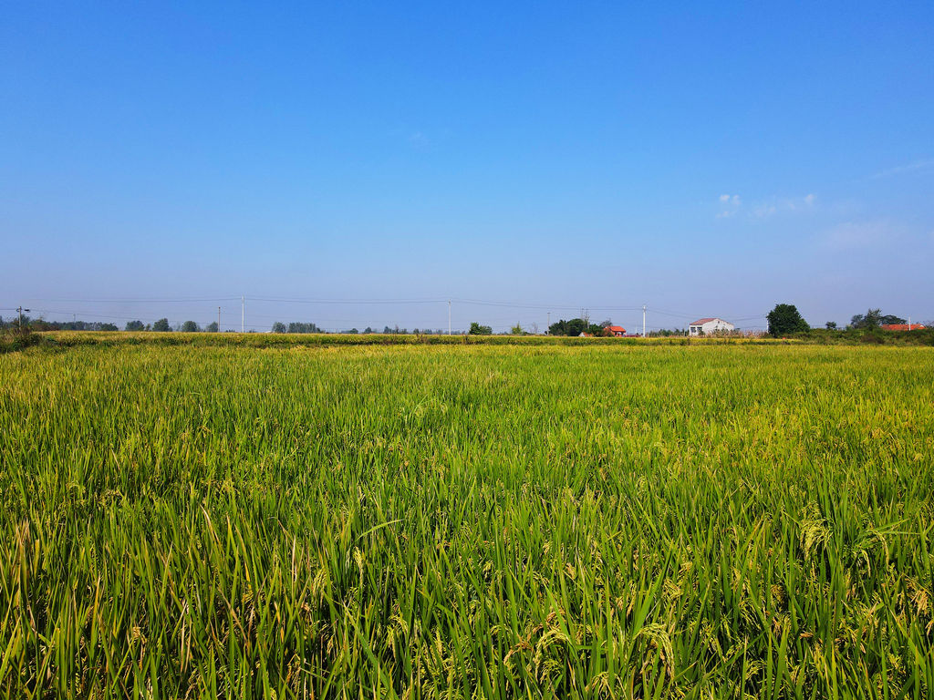 狼人无码精华av午夜精品