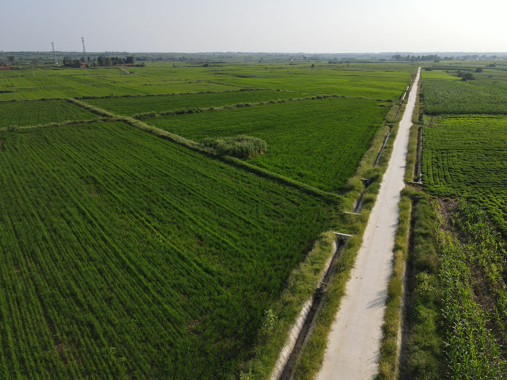 狼人无码精华av午夜精品