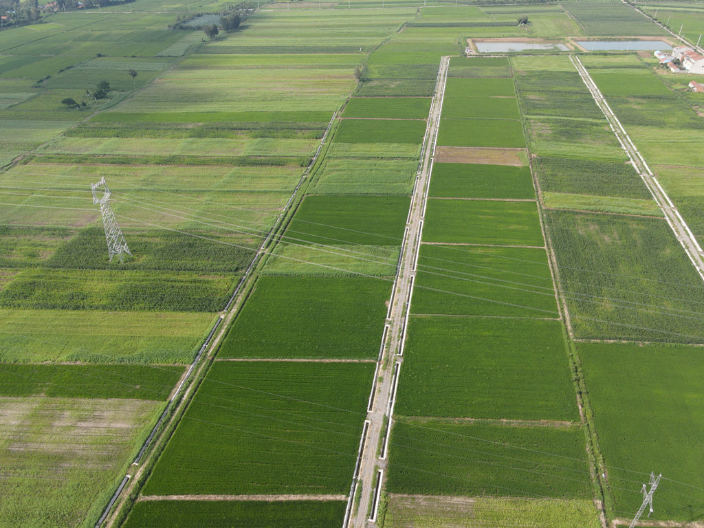 狼人无码精华av午夜精品