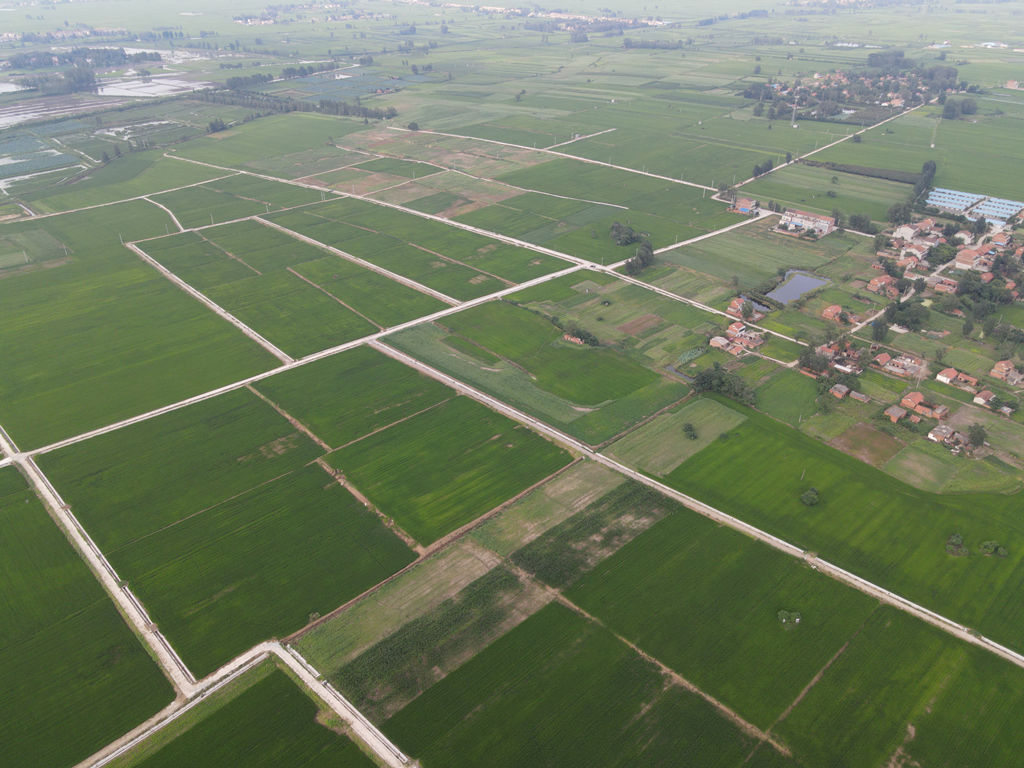 狼人无码精华av午夜精品