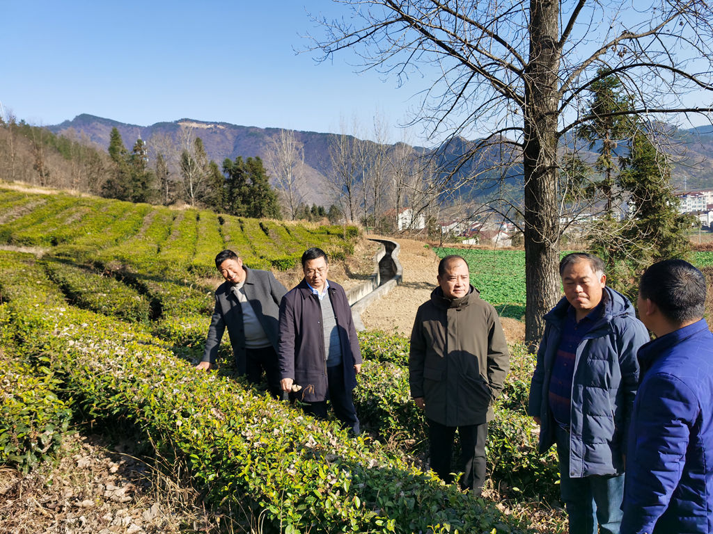 狼人无码精华av午夜精品