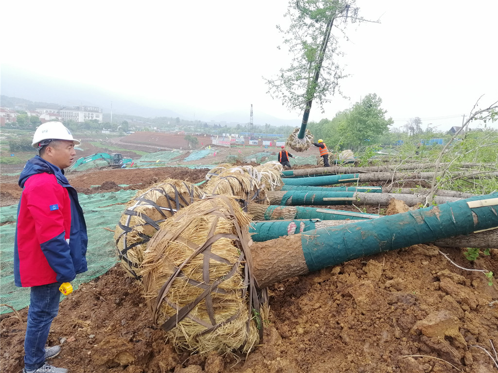 狼人无码精华av午夜精品