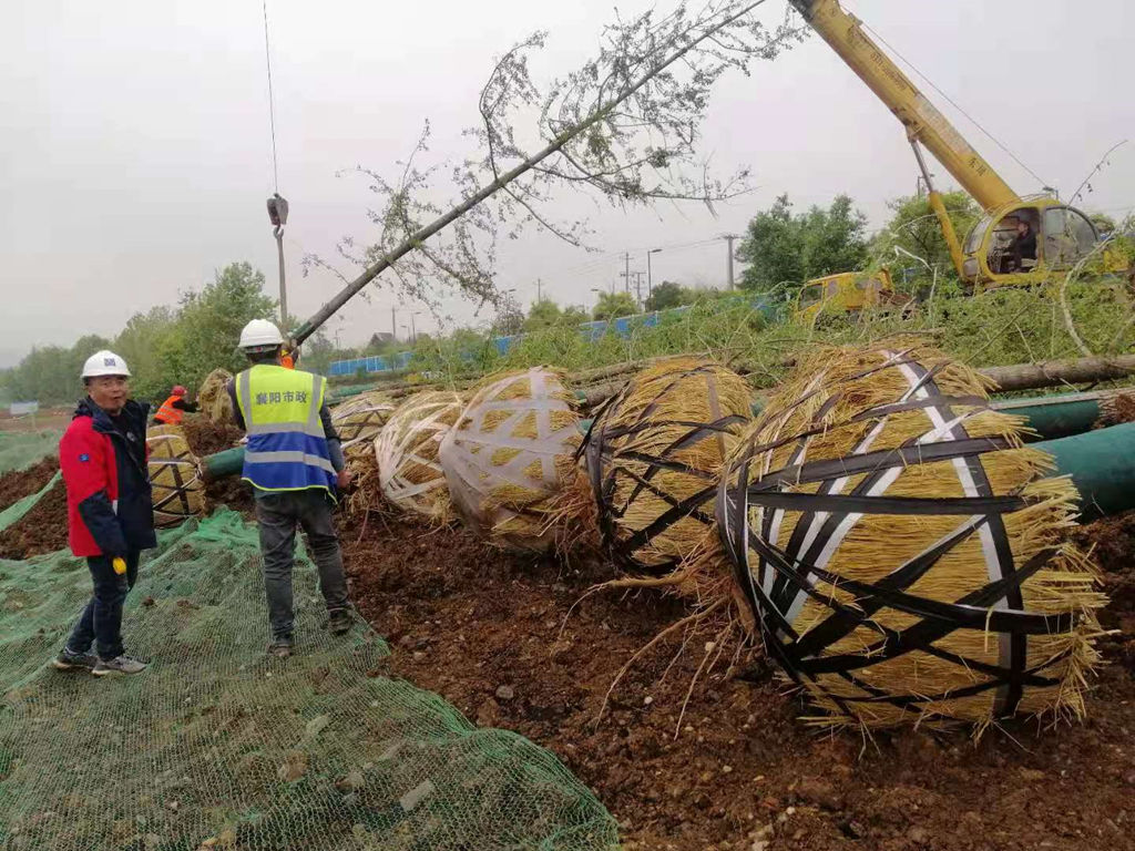 狼人无码精华av午夜精品