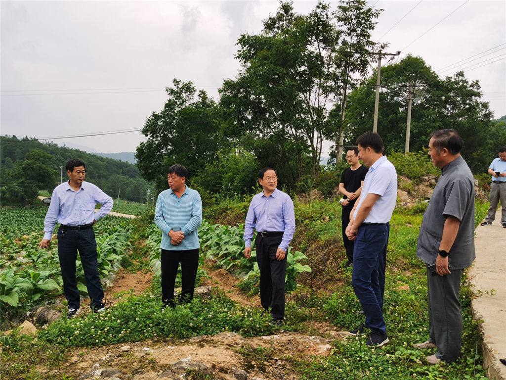 狼人无码精华av午夜精品