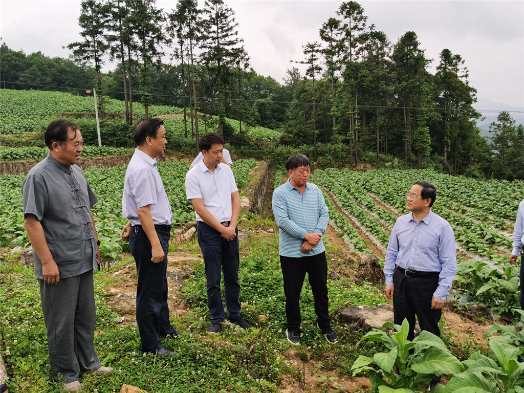 狼人无码精华av午夜精品