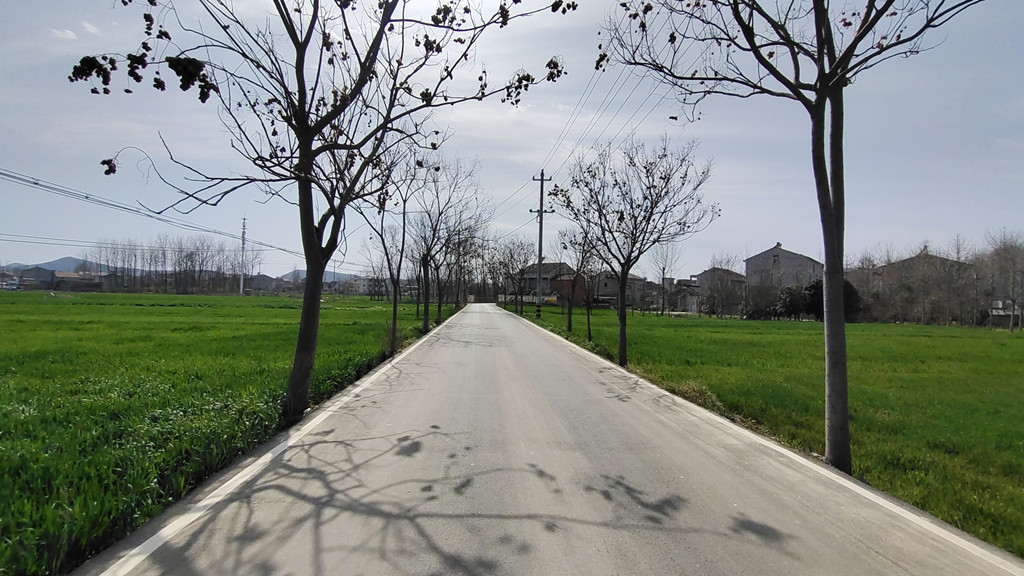 狼人无码精华av午夜精品