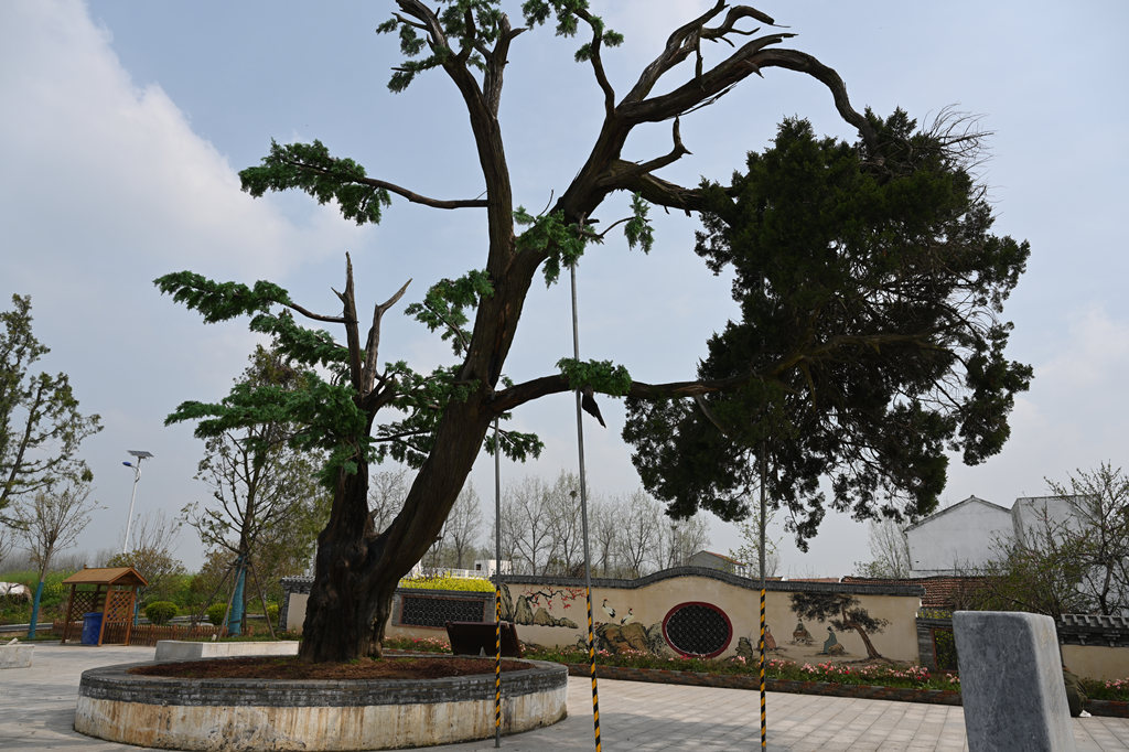 狼人无码精华av午夜精品