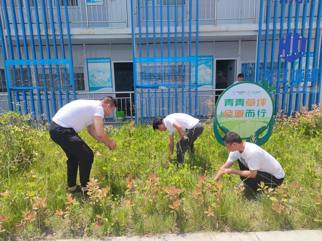 狼人无码精华av午夜精品