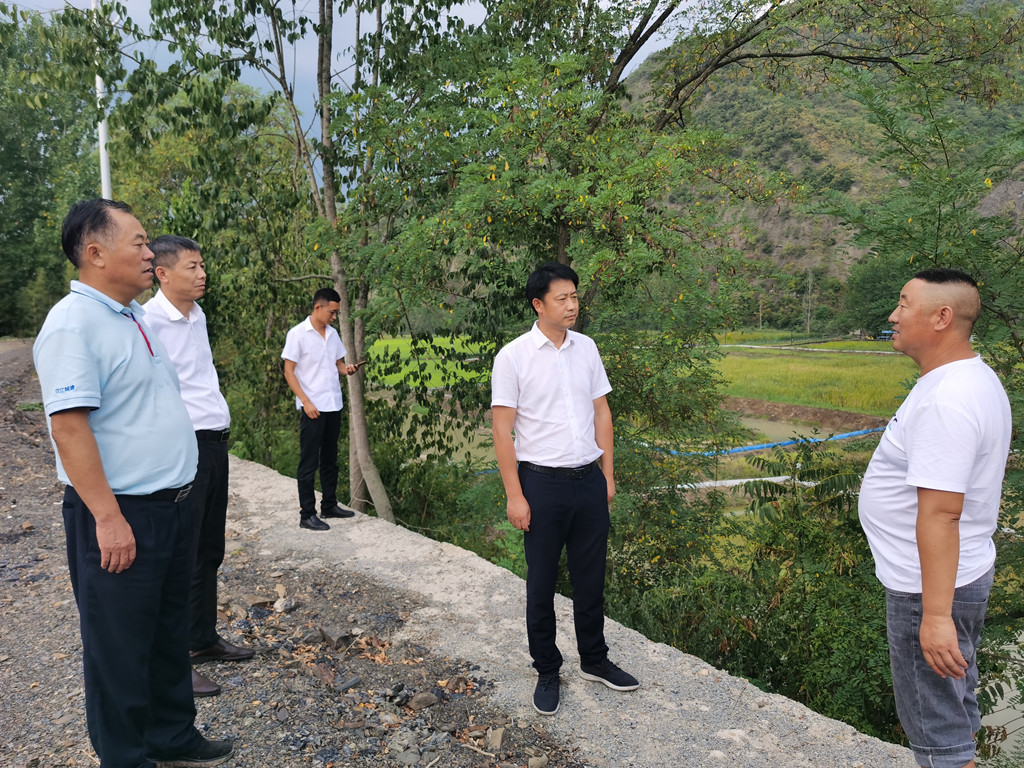 狼人无码精华av午夜精品