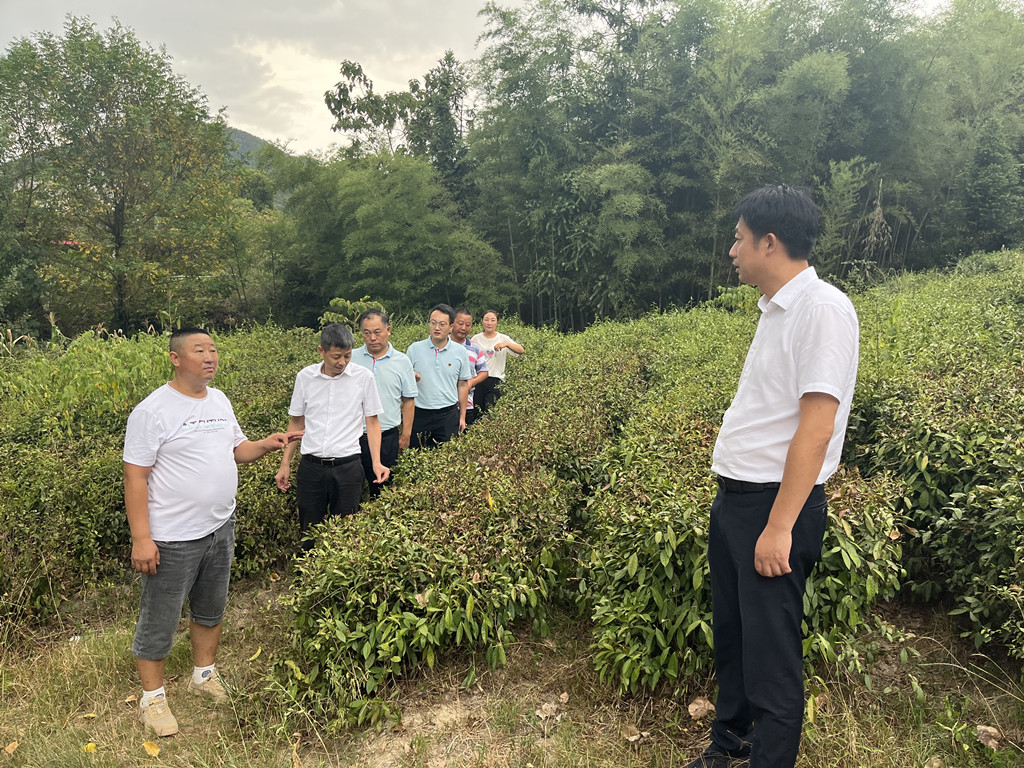 狼人无码精华av午夜精品