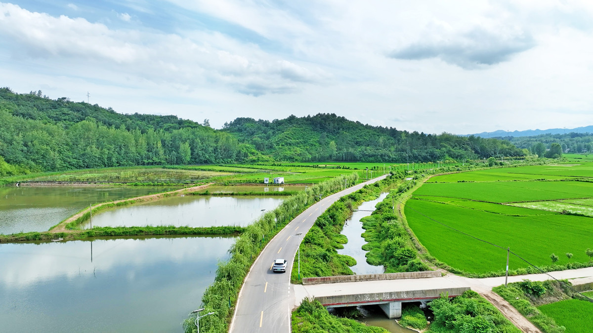 狼人无码精华av午夜精品