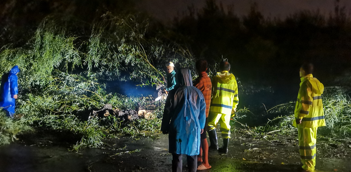 狼人无码精华av午夜精品