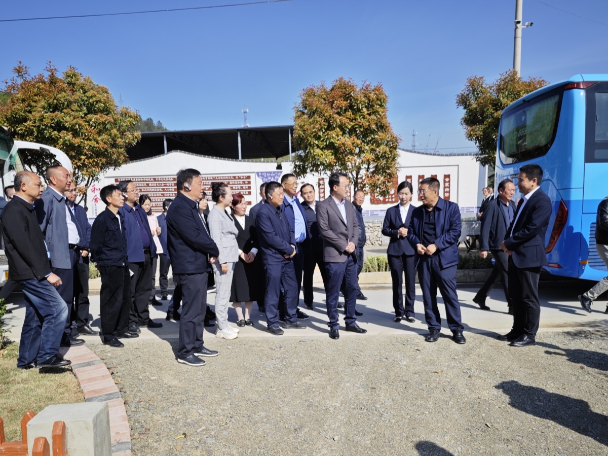 狼人无码精华av午夜精品